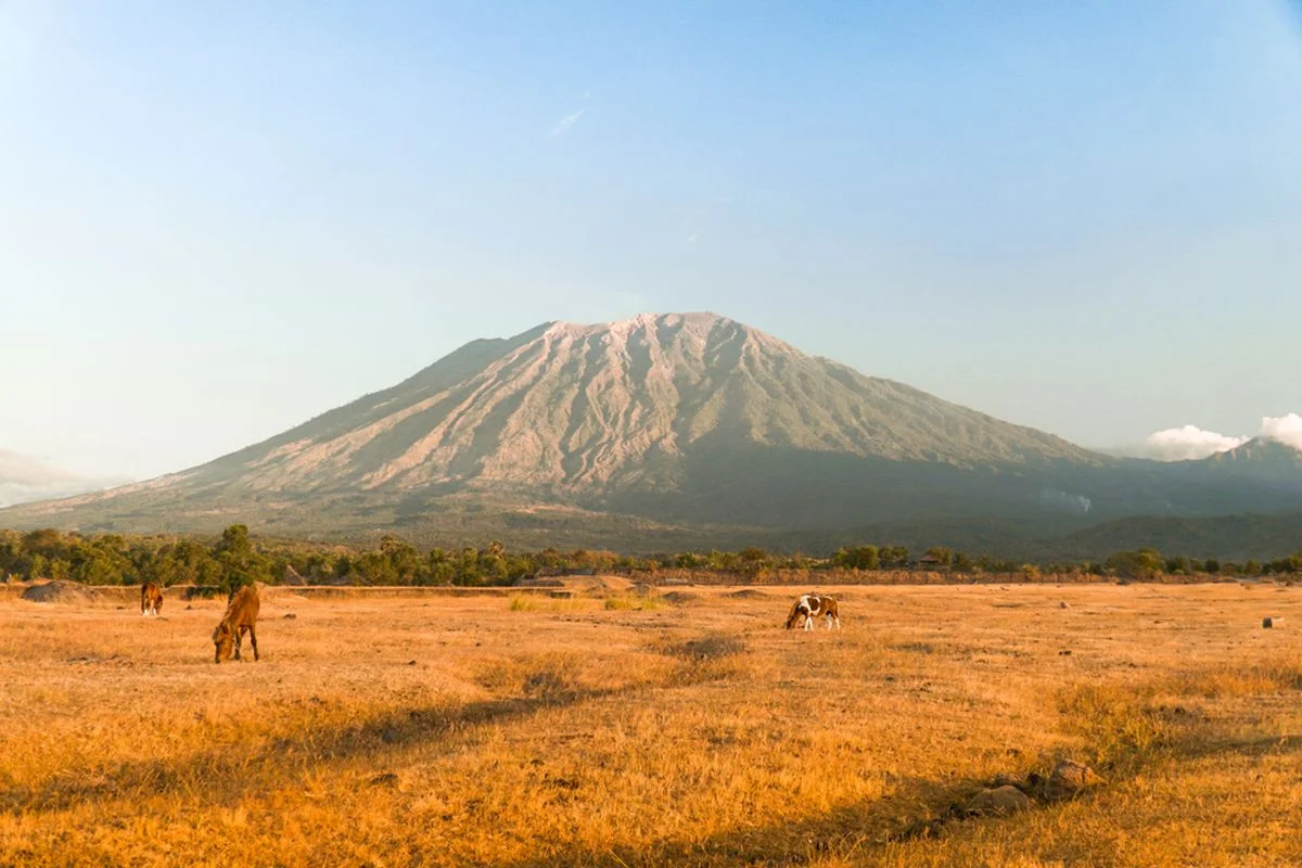 Savana Tianyar